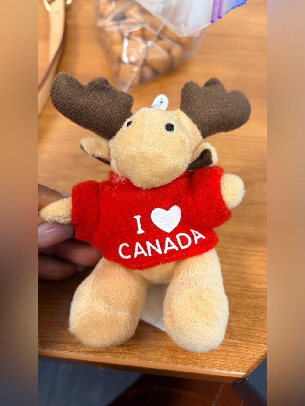 Plush Moose Stuffed Toy with "I ♥ CANADA" Red Sweater